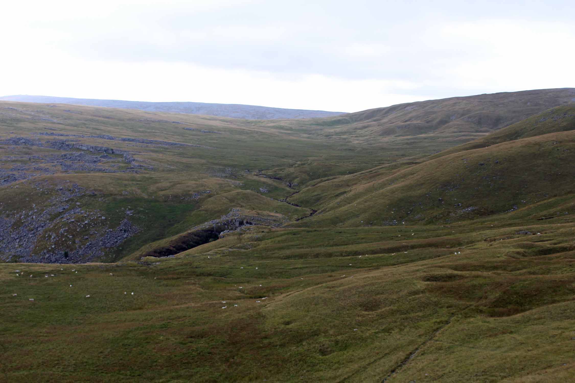 Pays de Galles, Black Mountain, panorama