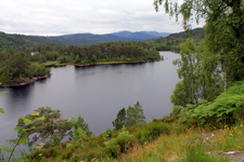 &eacute;cosse, Glen Affric