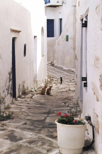 Une ruelle typique d'Antiparos