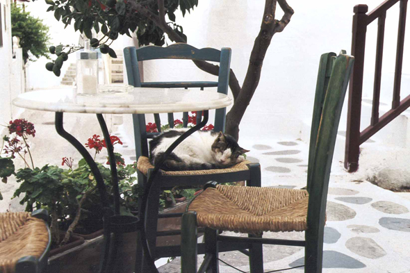 Paros, chat