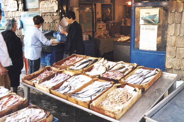 Eubée, poissons