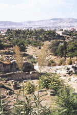 Ath&egrave;nes, Agora