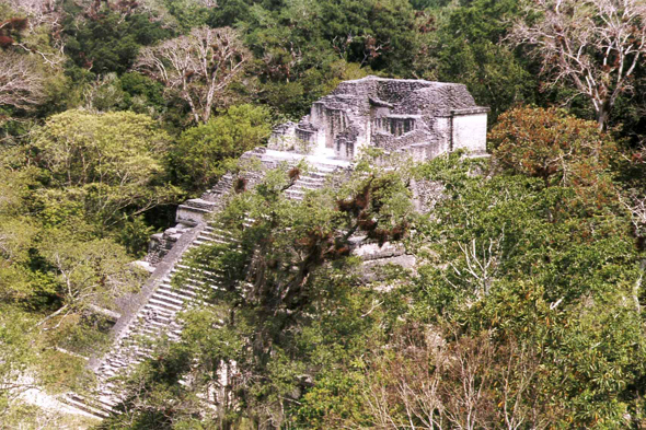 Site de Tikal