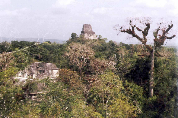 Site de Tikal, Guatemala