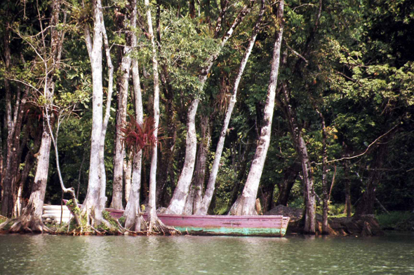 Le Rio Dulce, Guatemala
