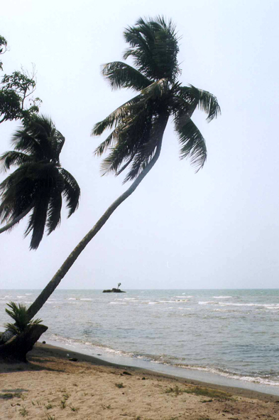 Guatemala, plage, Livingston