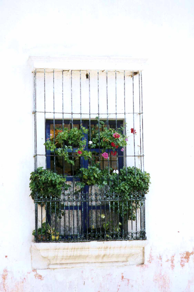 Guatemala, Antigua, fenêtre