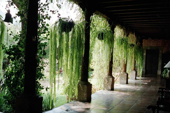 Guatemala, Antigua, patios, maisons