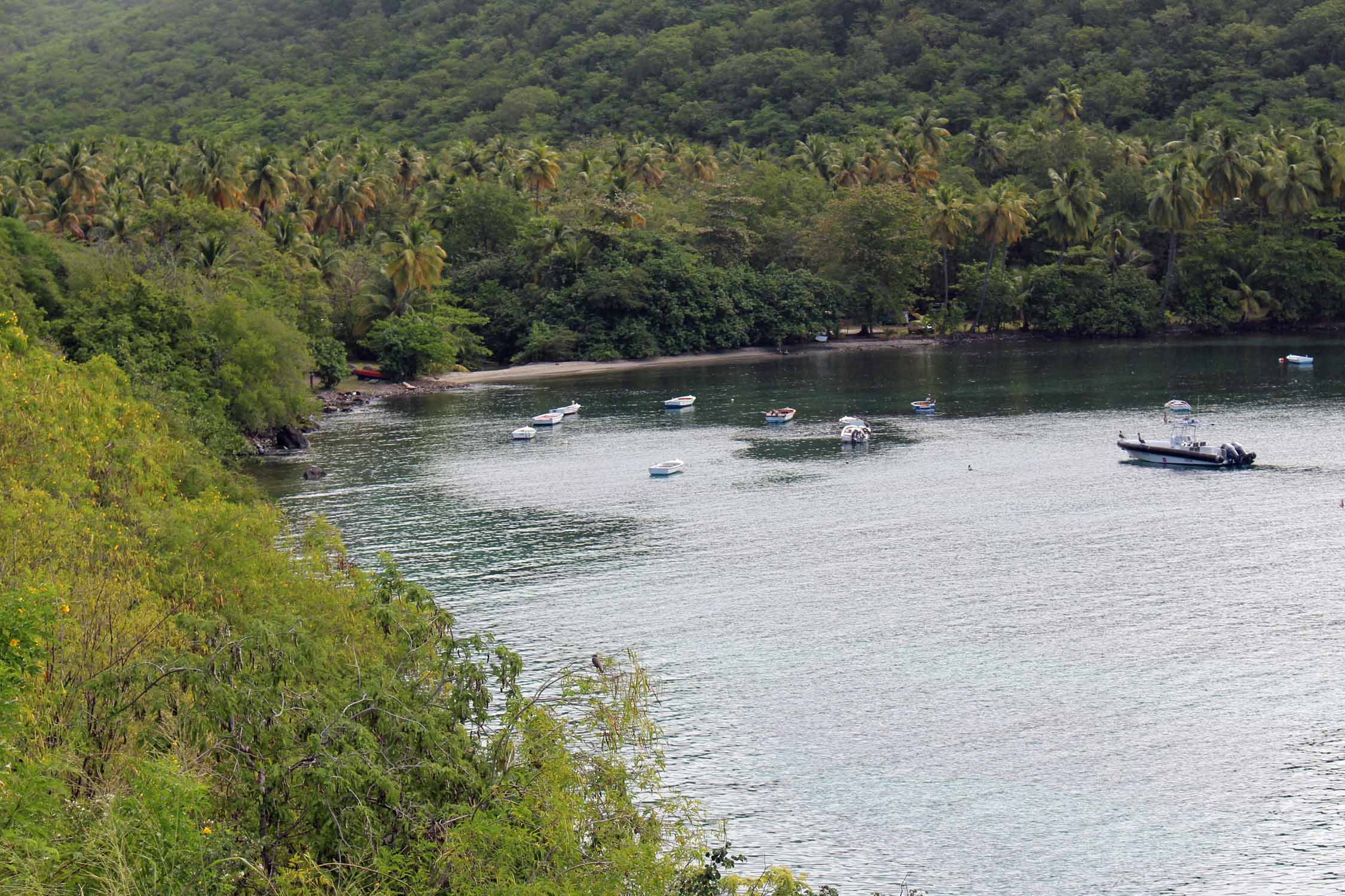 Anse à la Barque