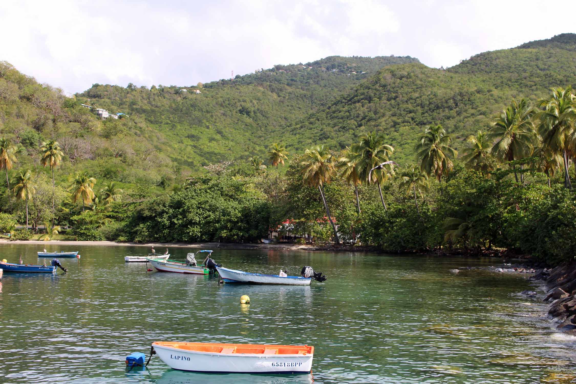 Anse à la Barque, paysage