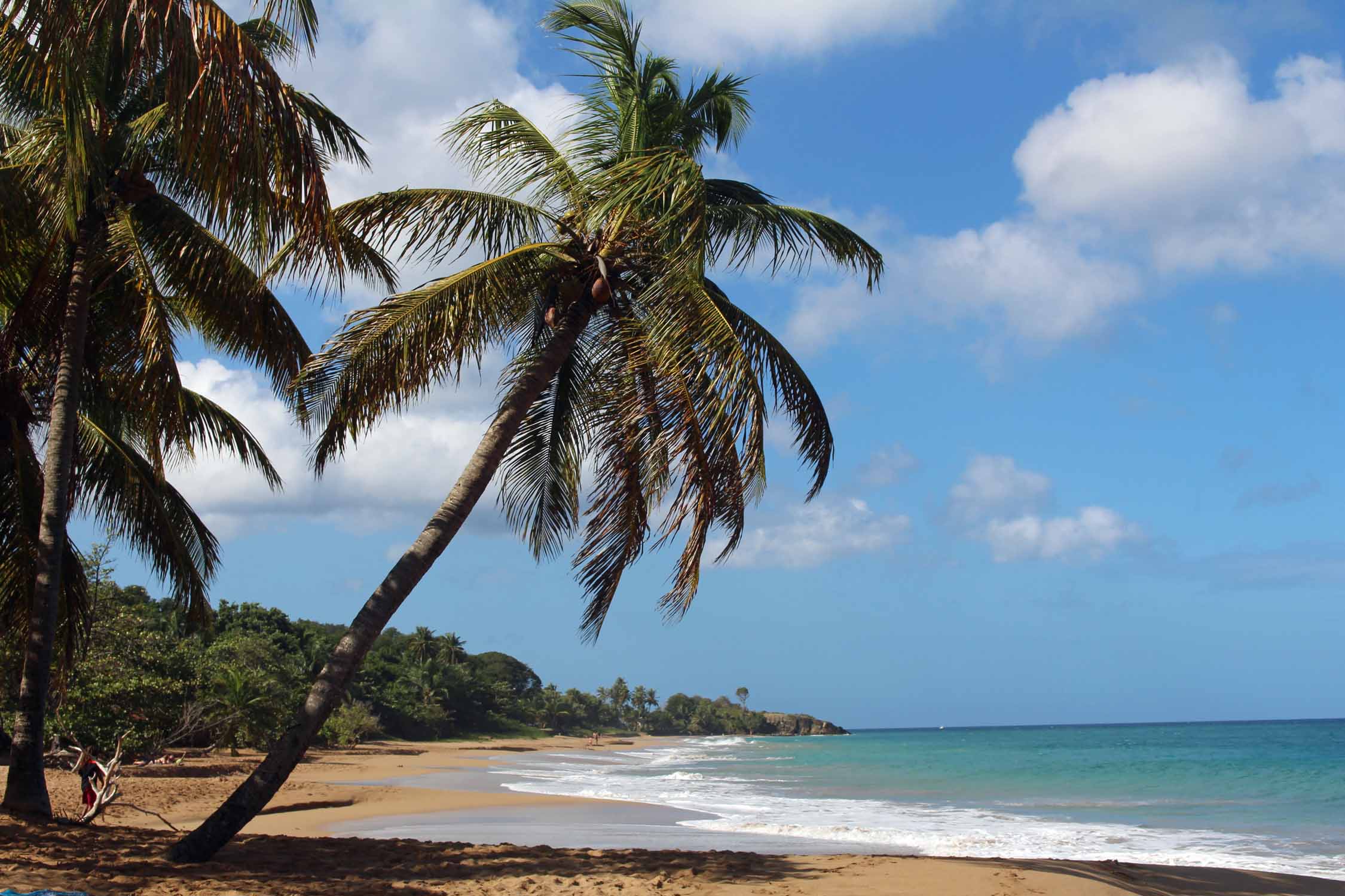 Anse de la Perle, plage