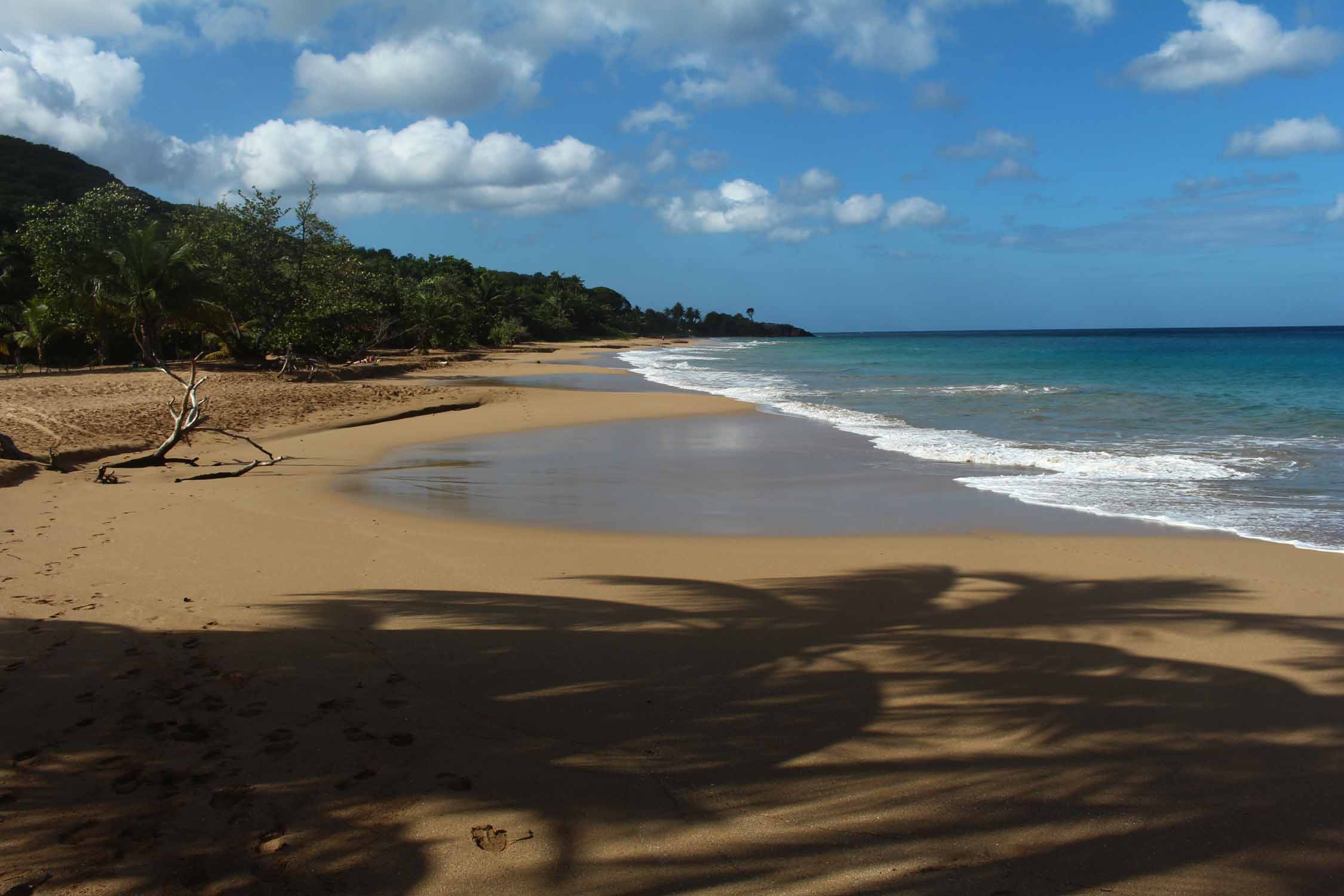 Anse de la Perle, Basse-Terre