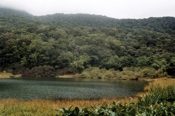 Le Grand Etang, Basse-Terre