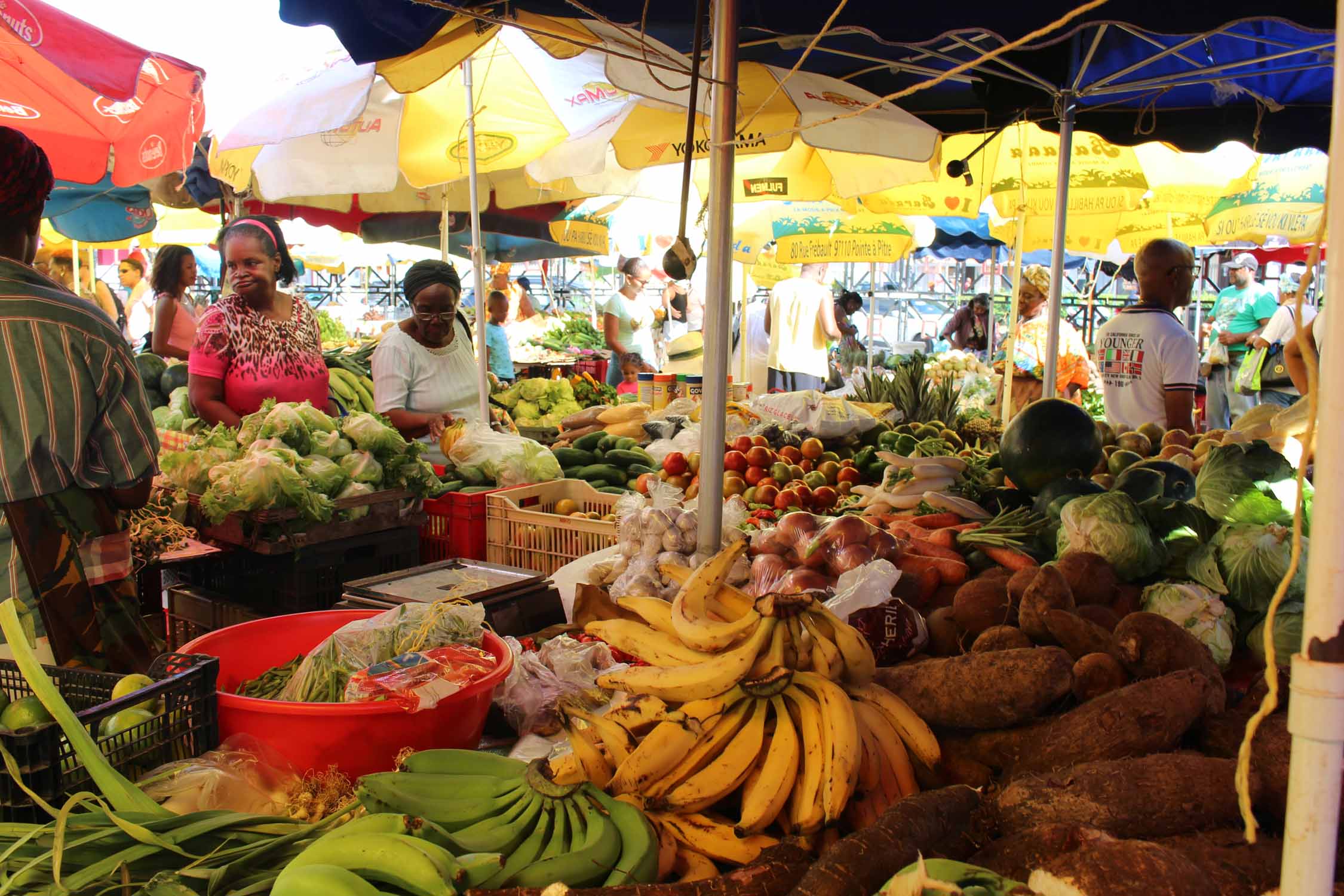 Pointe-à-Pitre, marché St-Antoine, fruits