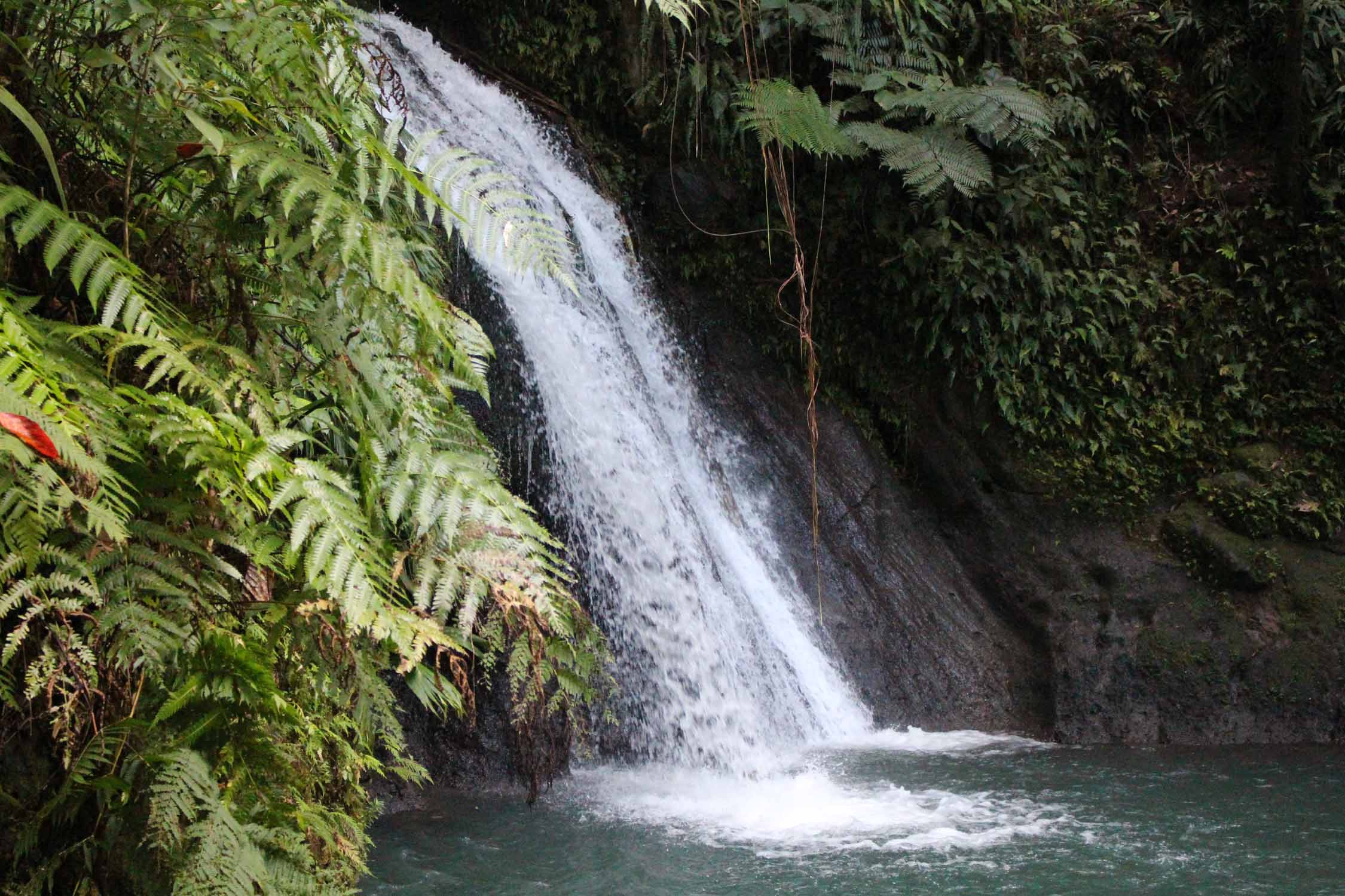 Cascade aux écrevisses, Guadeloupe