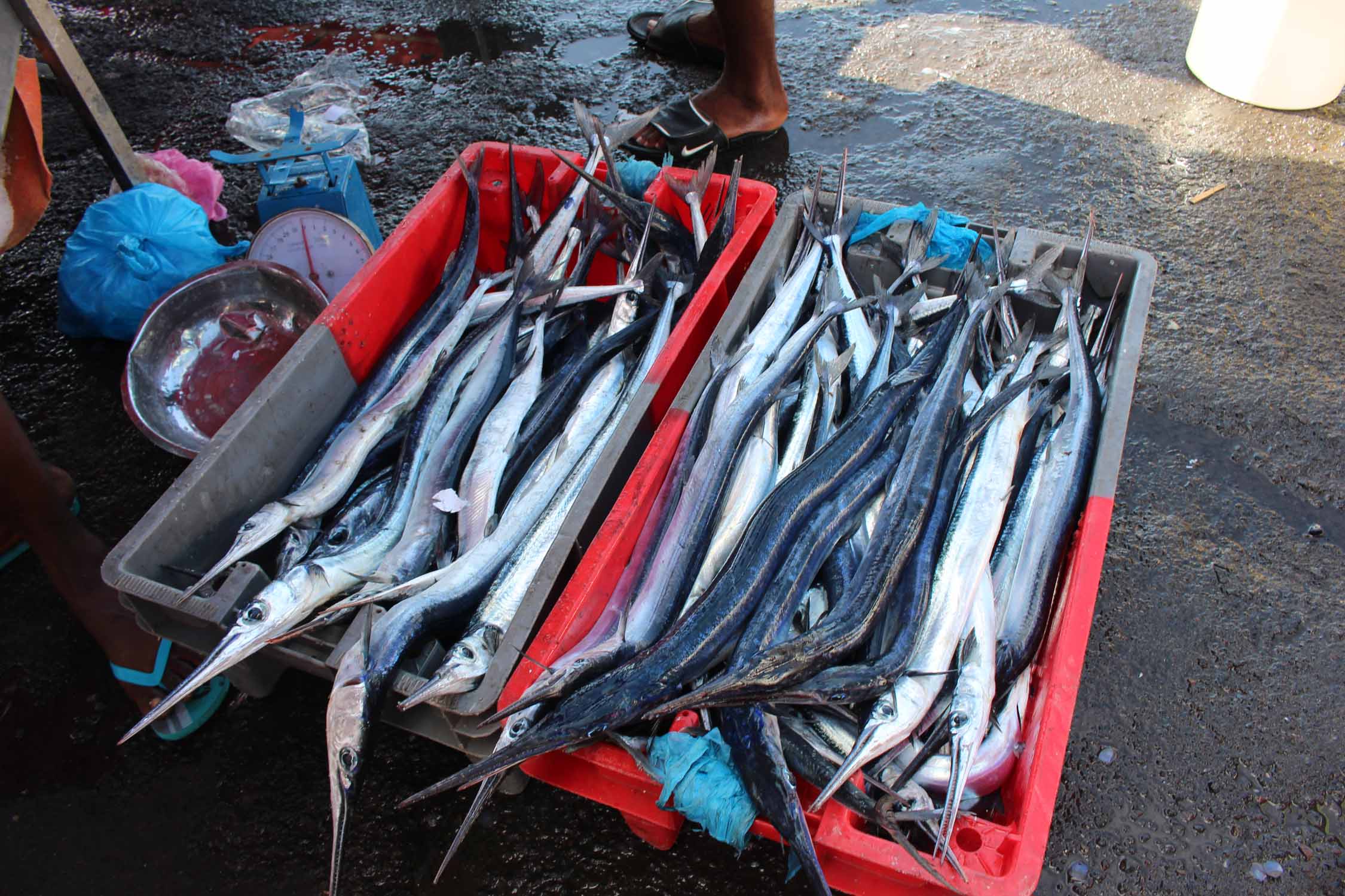 Pointe-à-Pitre, poissons