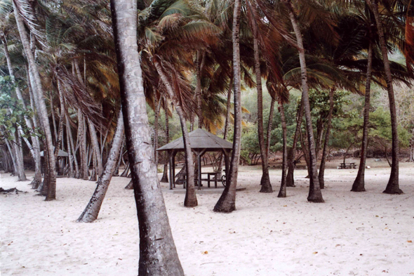 Les Saintes, plage de Pompierre