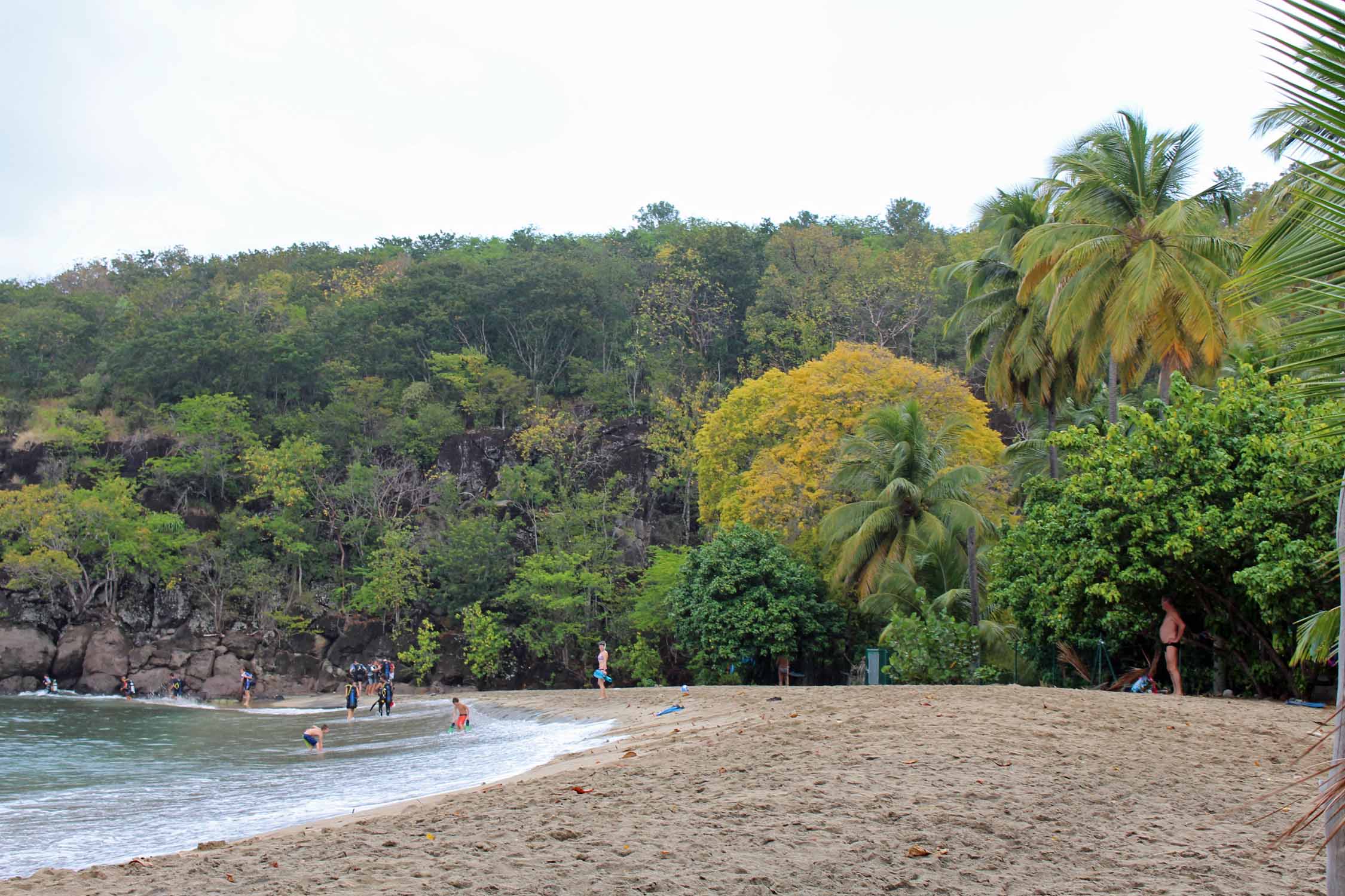 Plage de la Petite-Anse, Guadeloupe