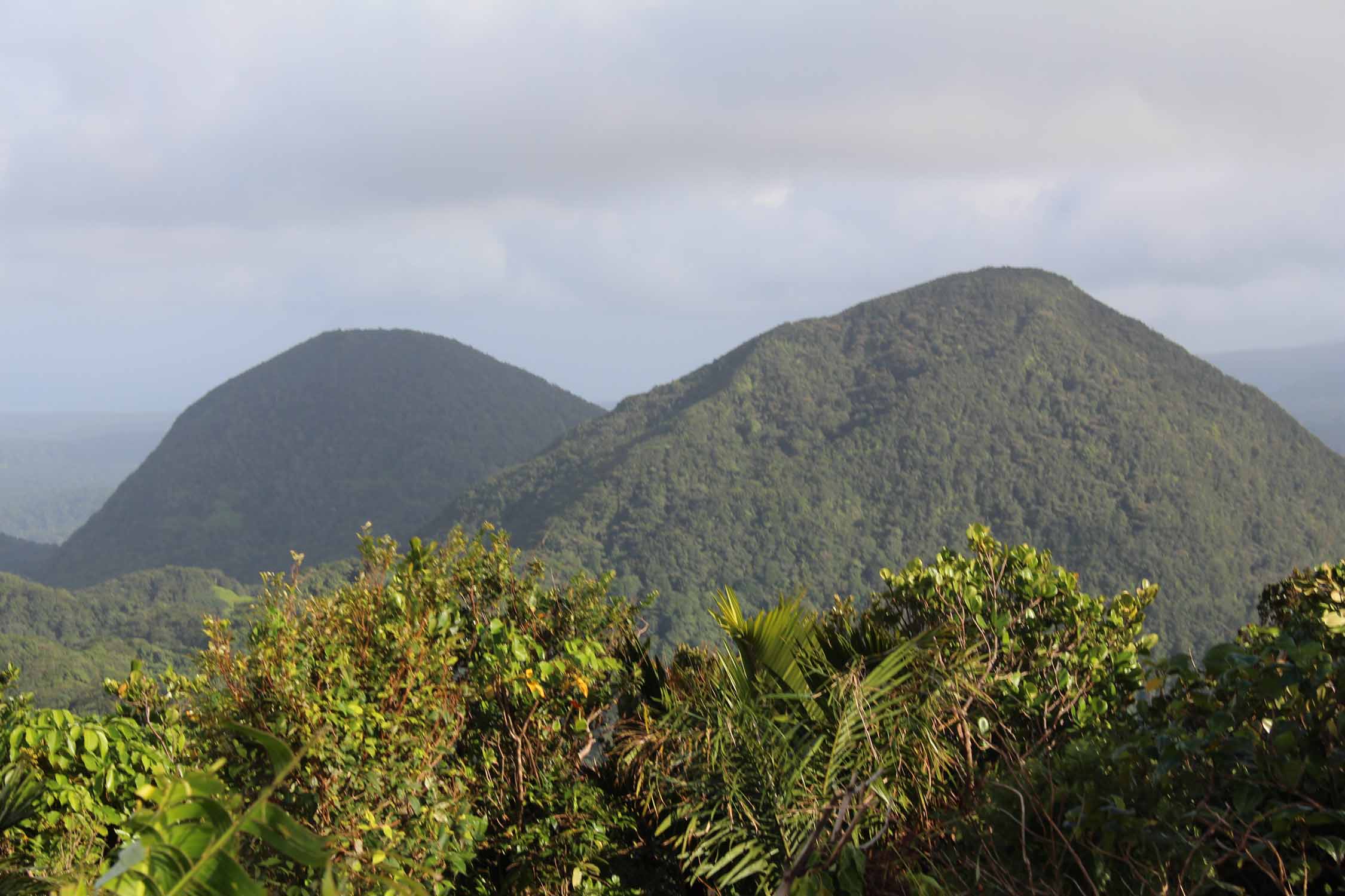 Les Mamelles, parc Guadeloupe