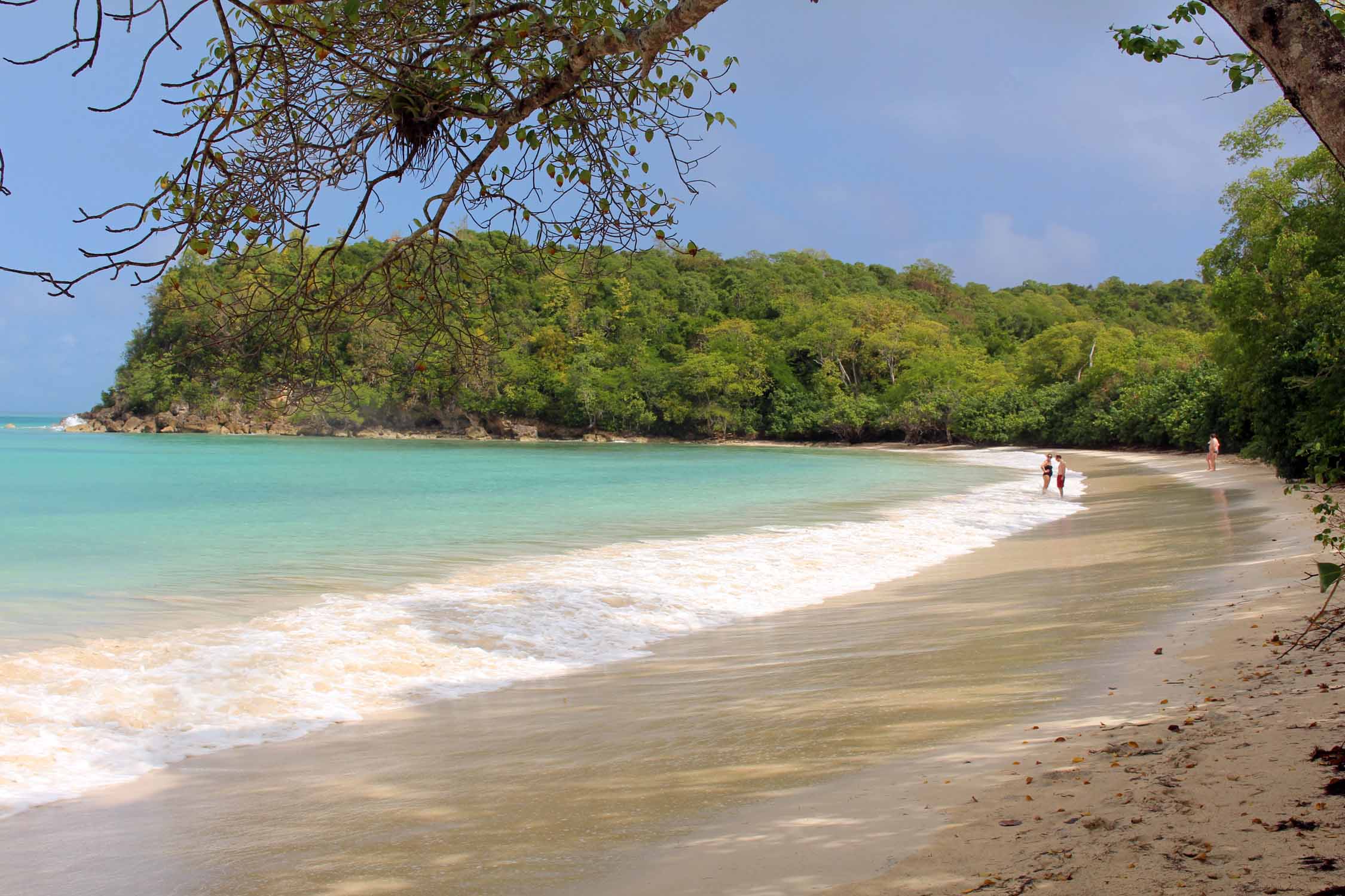 Marie-Galante, plage du Massacre