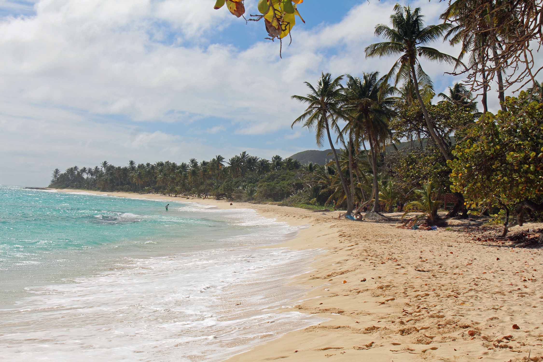 Marie-Galante, plage de la Feuillère, sable blanc