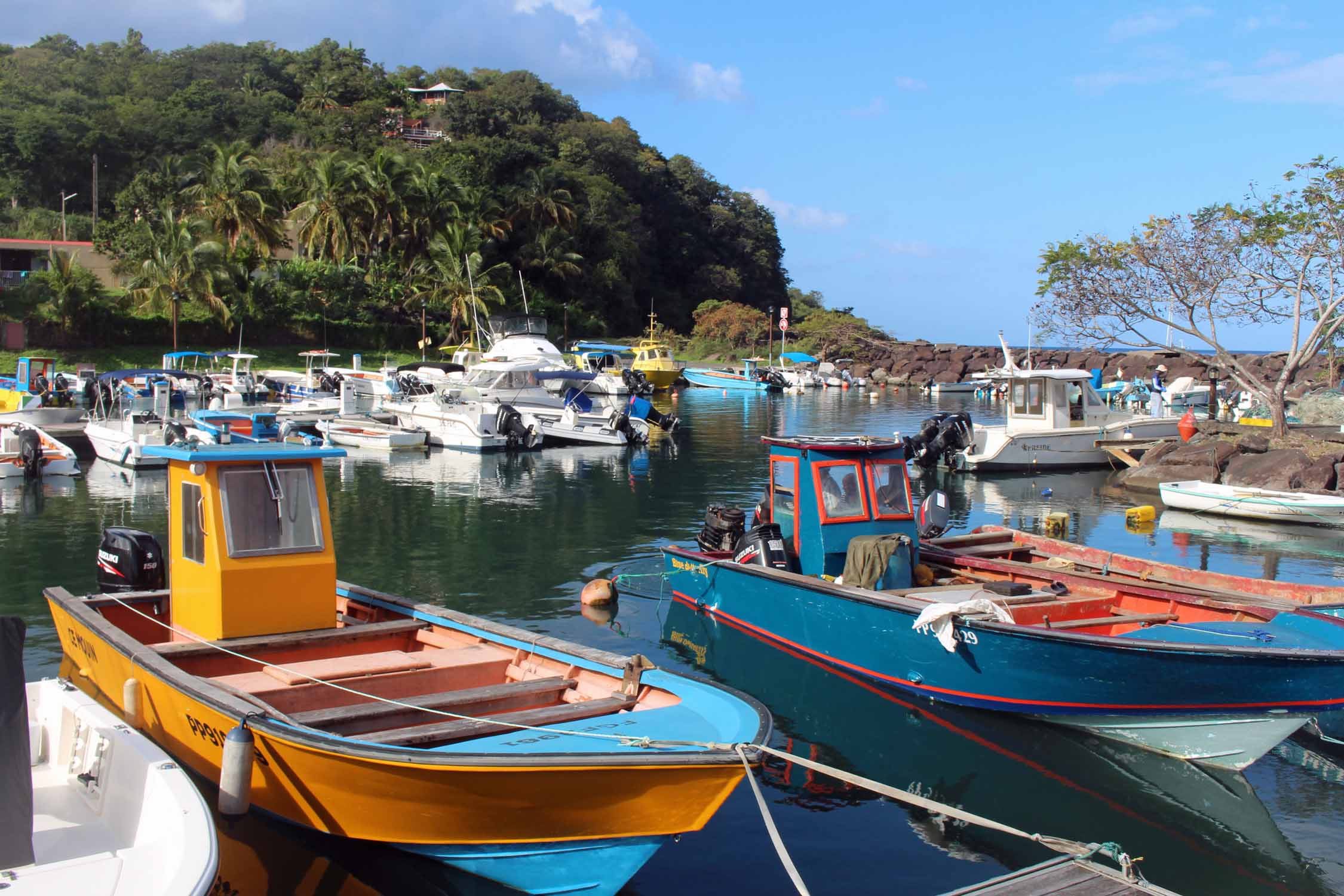 Deshaies, port, bateaux