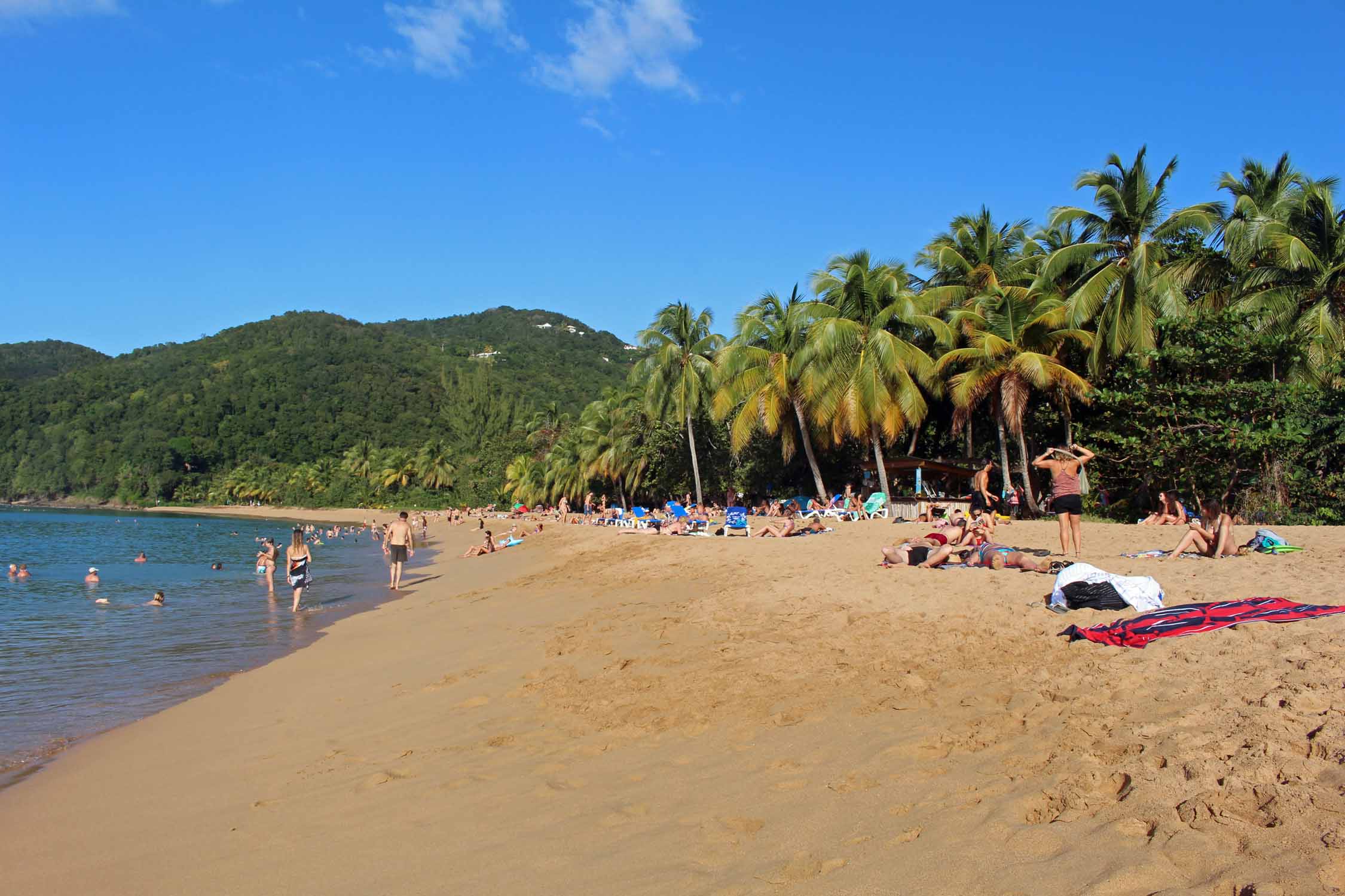 Deshaies, plage de la Grande-Anse