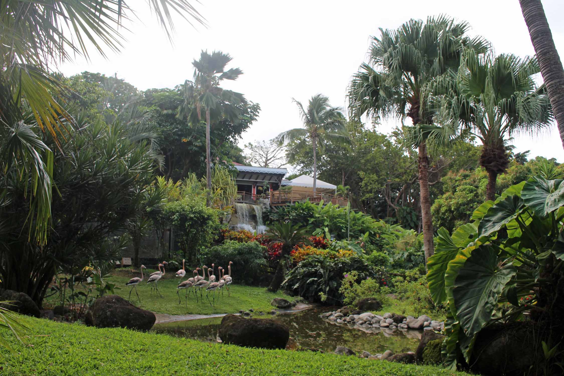 Deshaies, jardin botanique