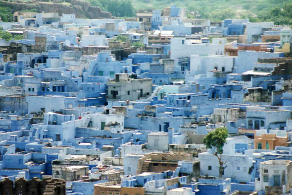 Jodhpur, maisons bleues