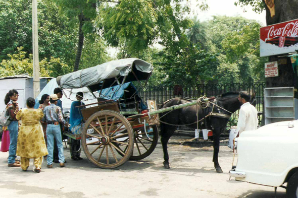 Delhi, carriole