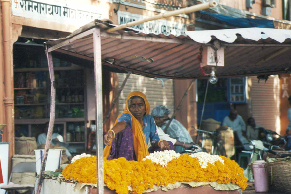 Jaipur, fleurs