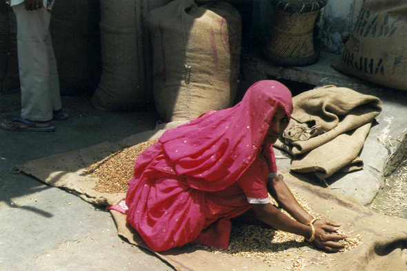 Jaipur, marchande