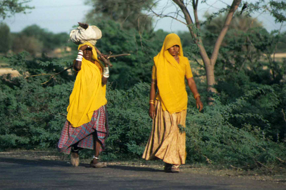 Indiennes en sari à Jodhpur