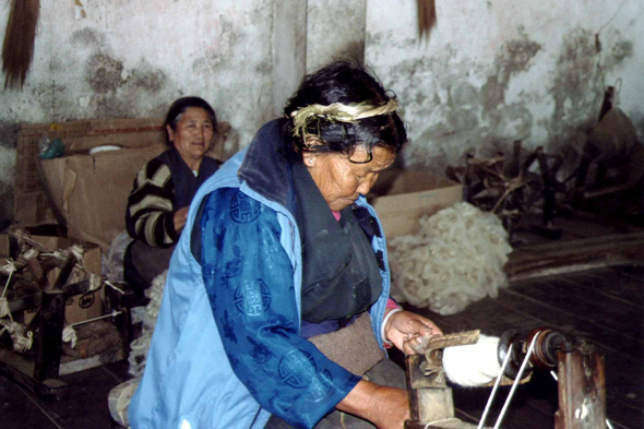 Darjeeling, centre tibétain