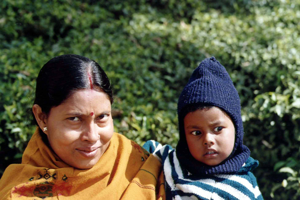 Darjeeling, indiens