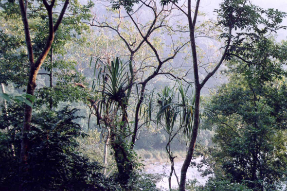 Inde, vallée de Tista