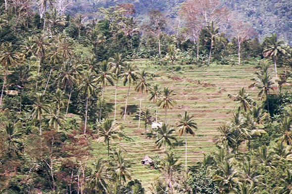 Bali, village de Selat