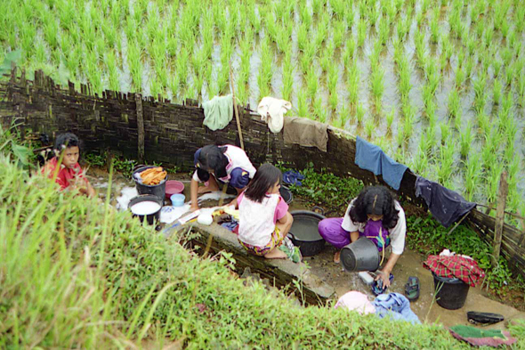 Sulawesi, lavage, linges