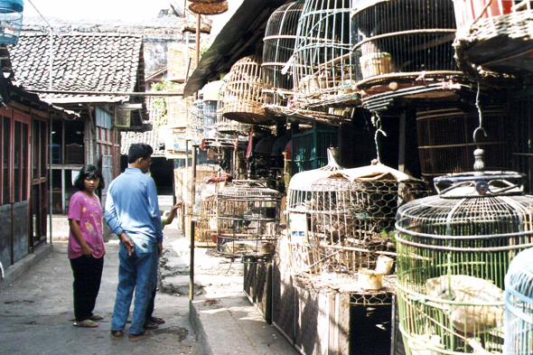 Yogjakarta, marché aux oiseaux