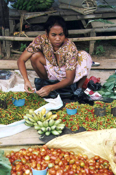 Marché de Rantepao, femme Toraja