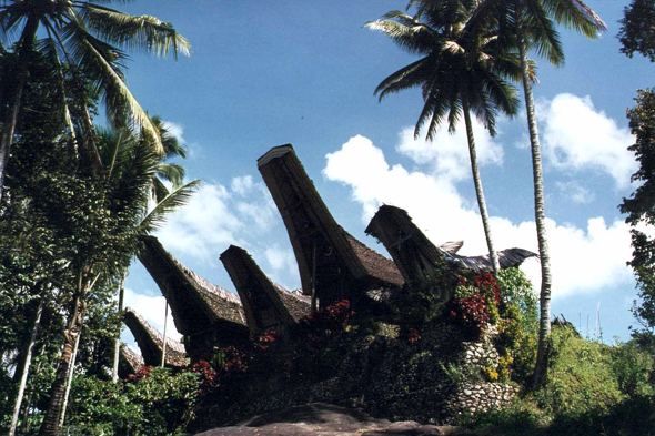 Sulawesi, village de Langda