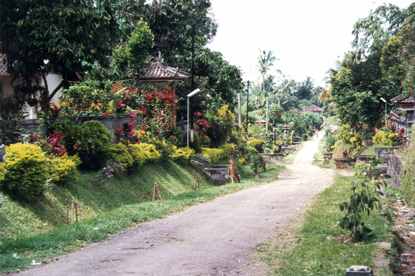 Bali, village de Rendang