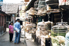 Yogjakarta, march&eacute; aux oiseaux