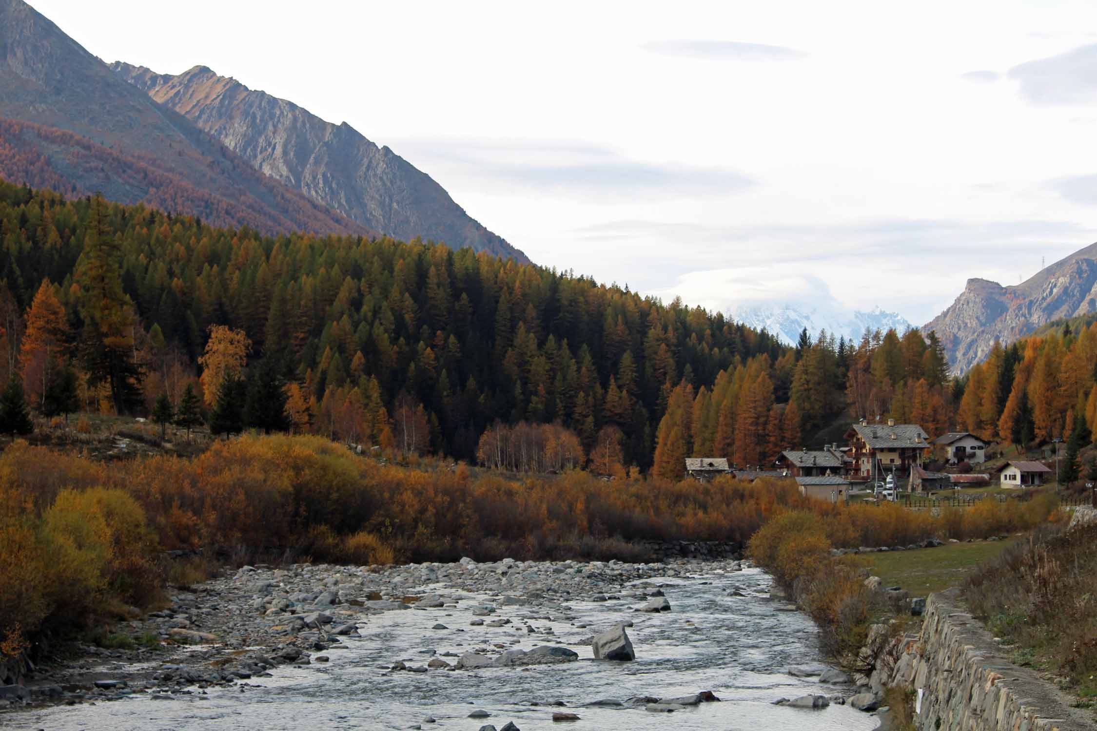 Val d'Aoste, Champlong, Urtier