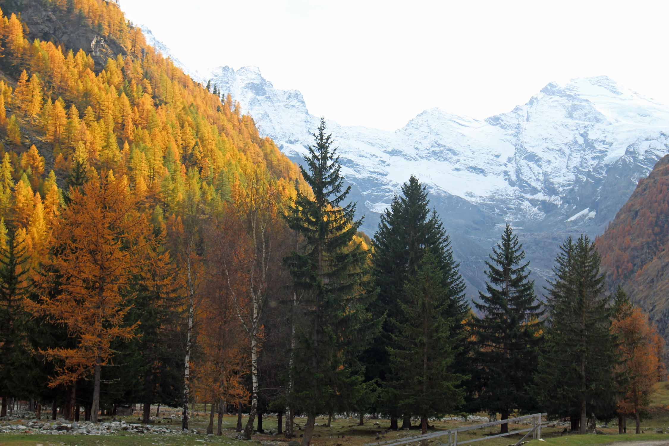 Val d'Aoste, Champlong, parc du Grand Paradis