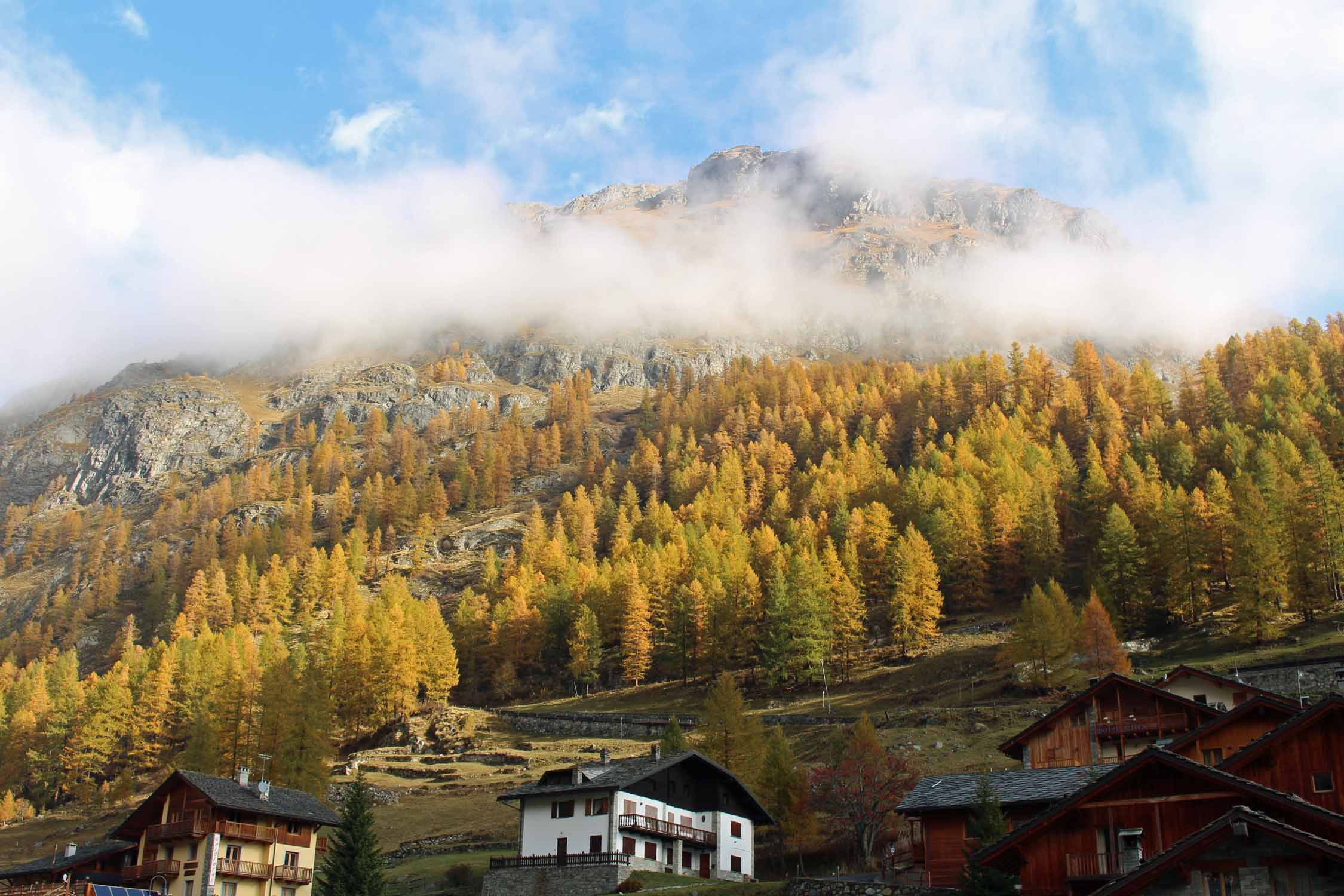 Val d'Aoste, Gressoney-la-Trinité, forêts