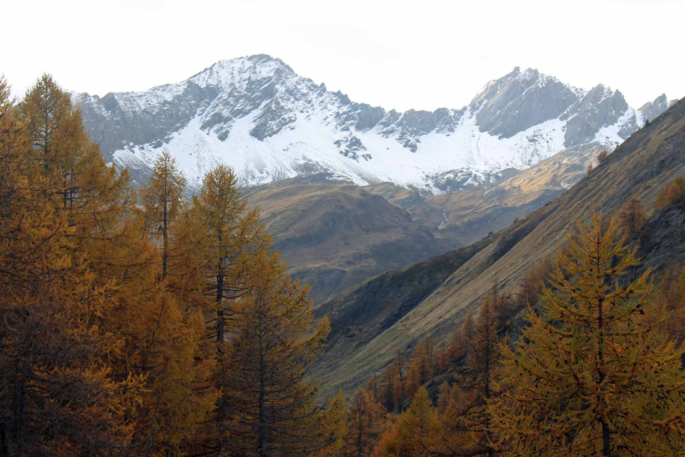 Val d'Aoste, col du Petit Saint-Bernard, Alpes