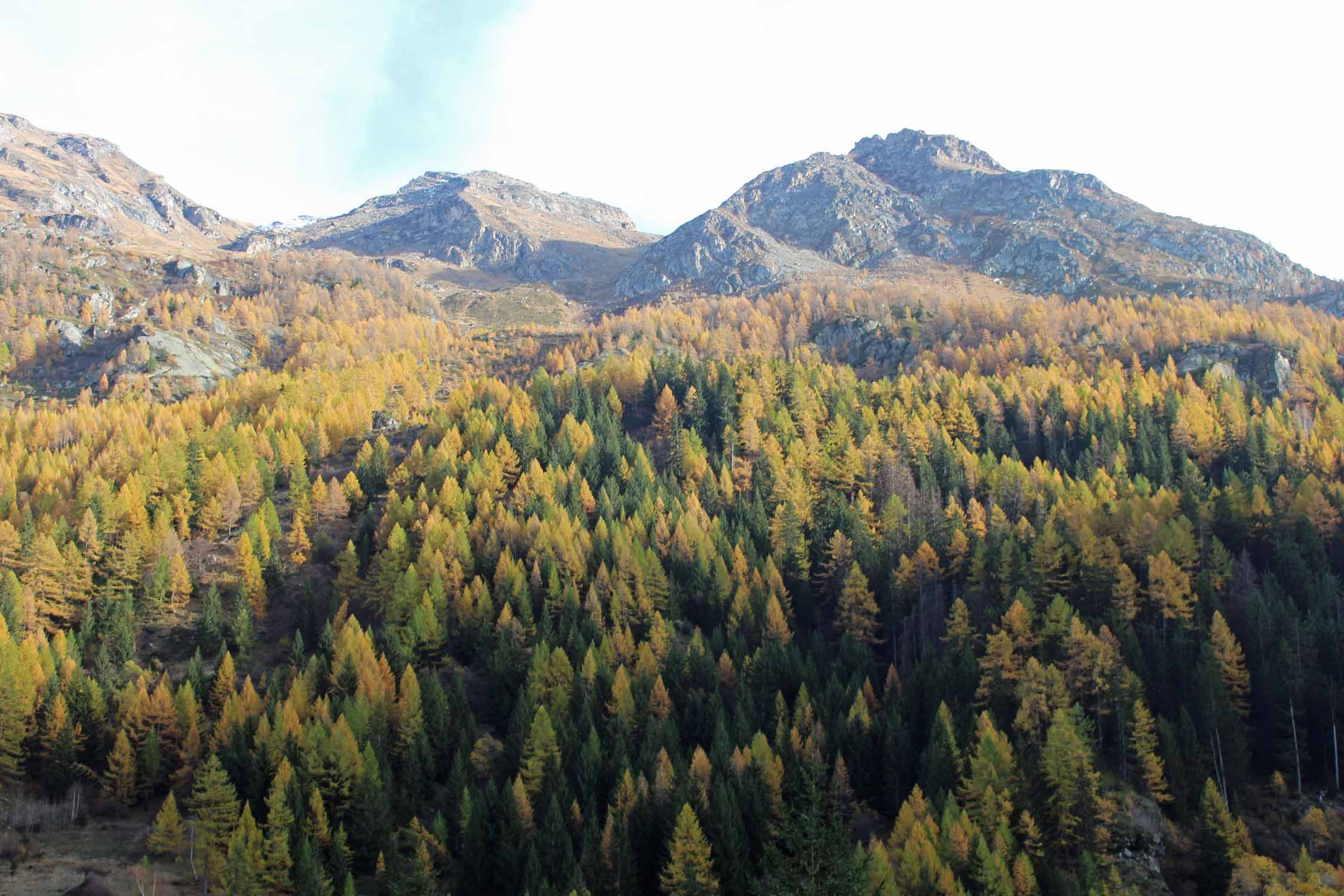 Val d'Aoste, Valgrisenche, paysage