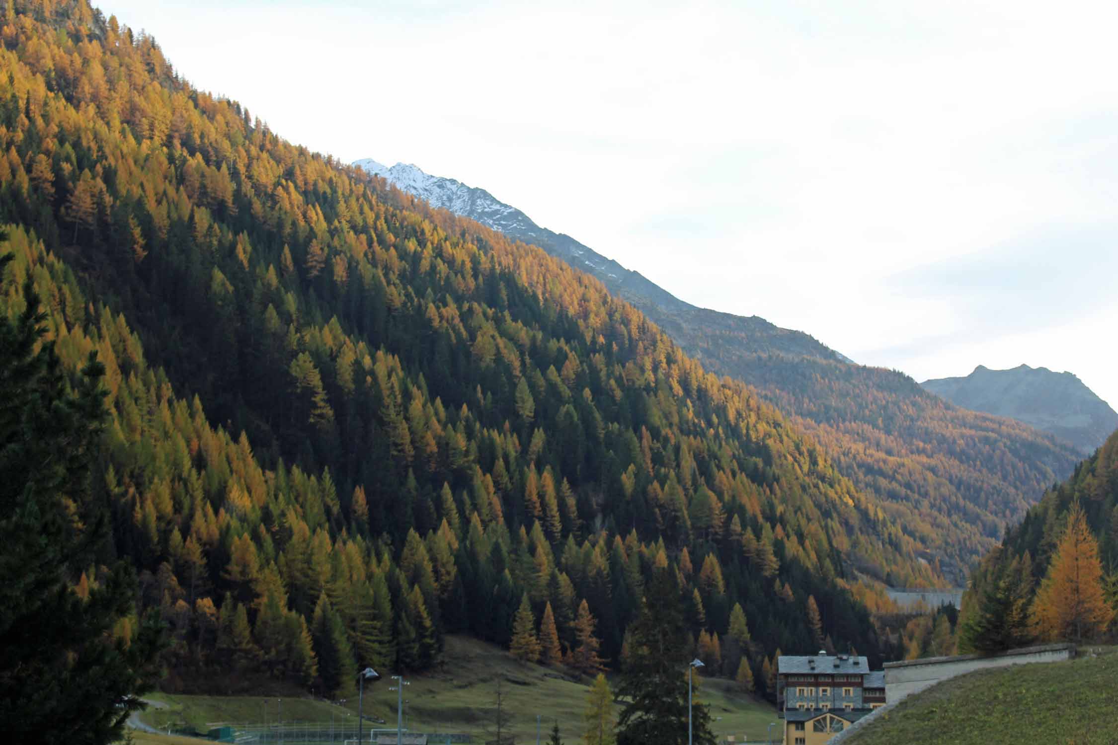 Valgrisenche, paysage, automne