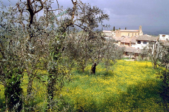 Toscane, San Gimignano